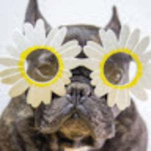 Meet your Posher, Lacey